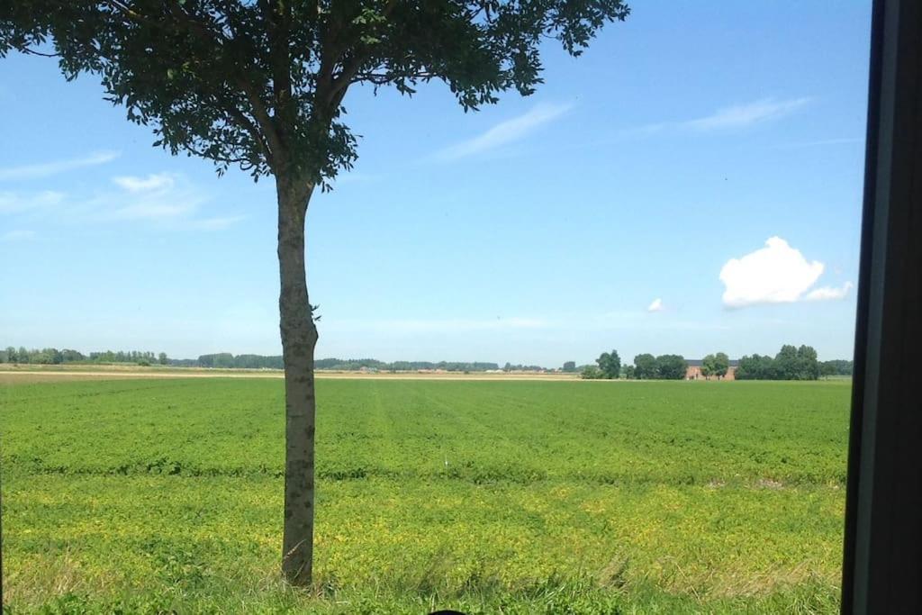 Vakantiehuis Dijkhuisje Zeeland Waterlandkerkje