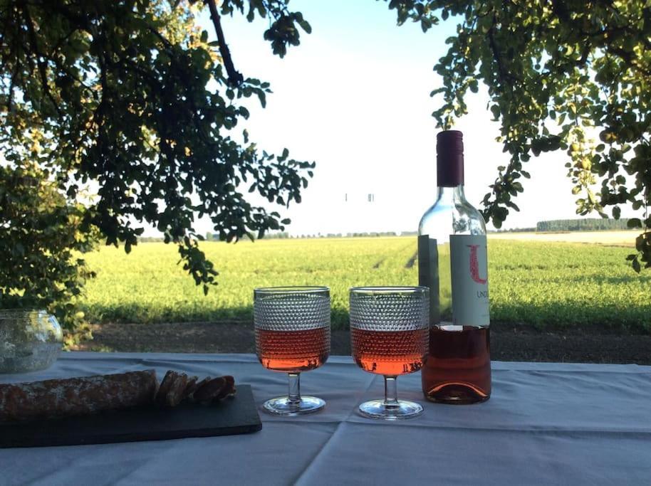 Dijkhuisje Zeeland Vakantiehuis